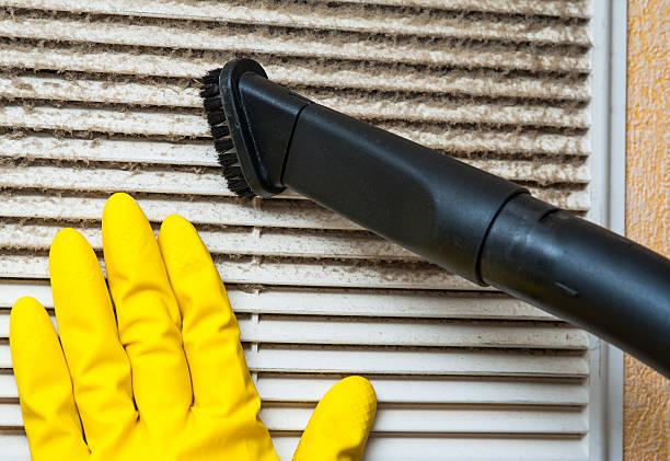 Air Duct Mold Removal in SC